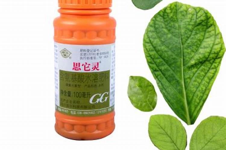 氨基酸叶面肥的功效与作用 氨基酸叶面肥优缺点有哪些