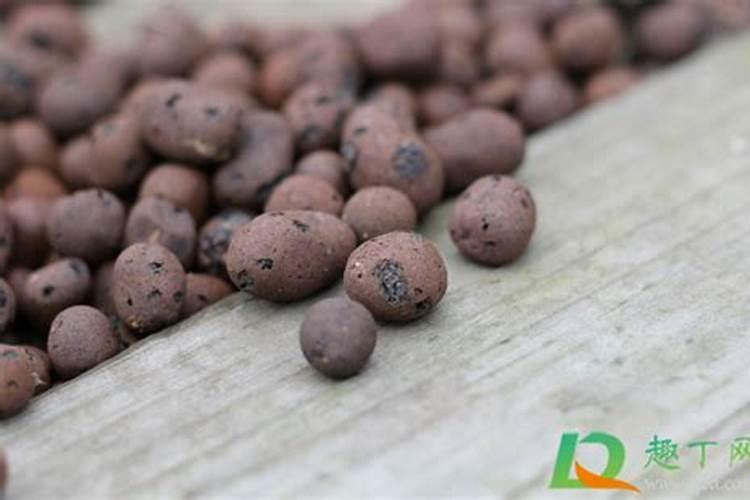 种多肉植物的盆底为什么要垫陶粒