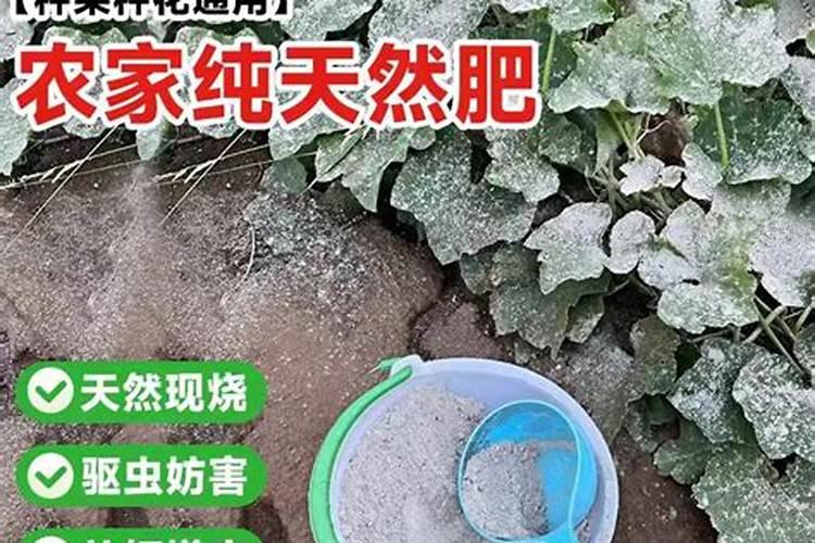 锌肥的作用及使用方法有哪些？