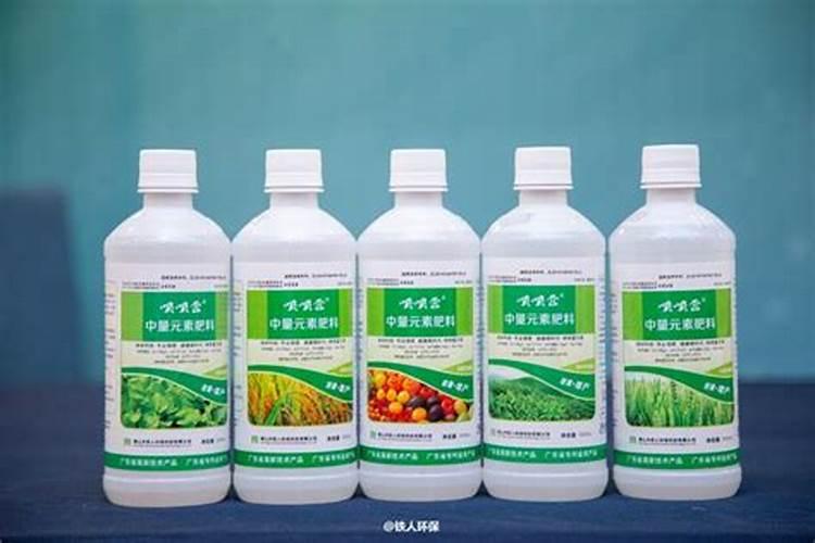 西红柿什么时候施肥