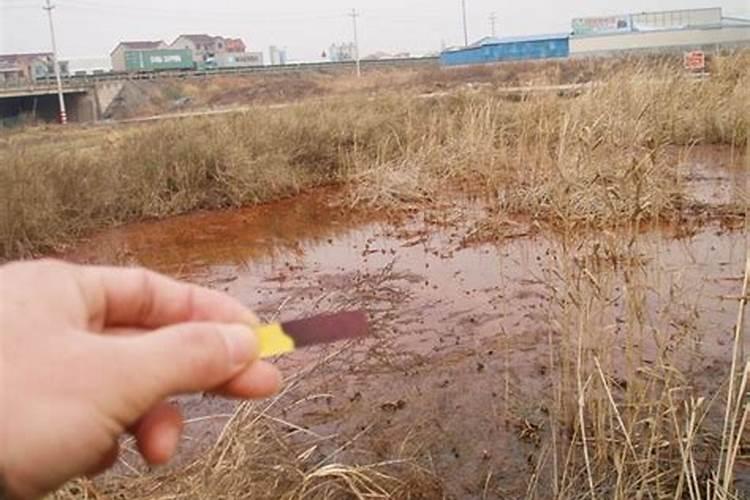 氮肥钾肥溶于水吗？