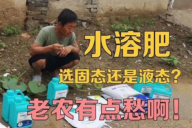 黄瓜冲施什么牌子水溶肥好(黄瓜用什么水溶肥产量高)
