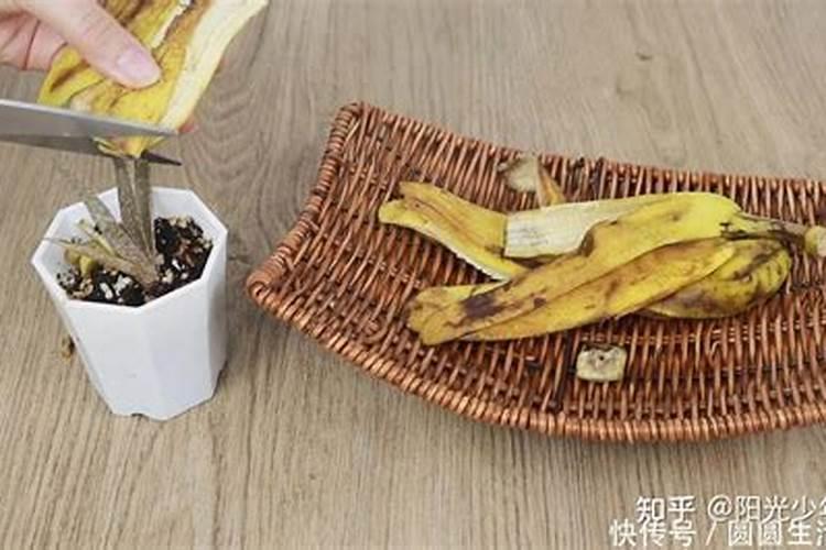 哪些植物需要钾肥