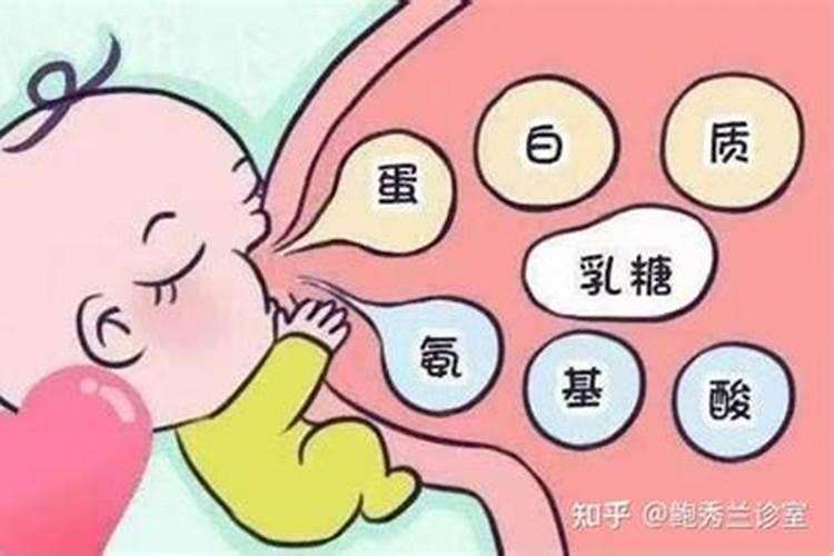 母乳的营养成分