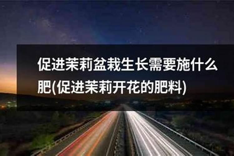 催花用什么肥料好