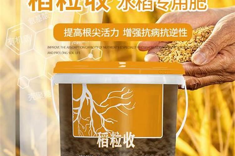 国内氨基酸水溶肥生产厂家有哪些？