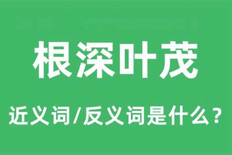 烂根的克星