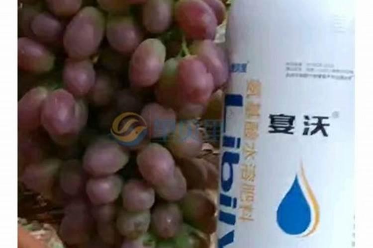 叶面肥和根肥可以同时用吗