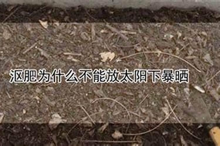 发酵肥料需要密封吗 沤肥要密封还是透气