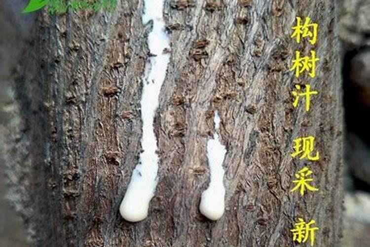 大量元素水溶肥的定义