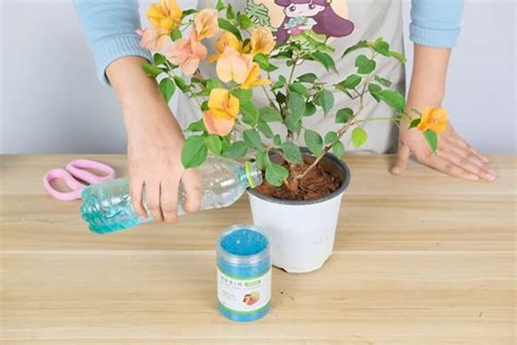 氮肥可以兑水浇花吗