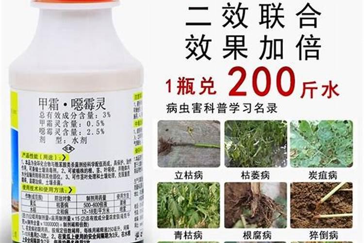 杜邦可杀得三千能与茎腐灵,甲霜恶霉灵,腐植酸叶面肥,磷酸二氢钾一起用...