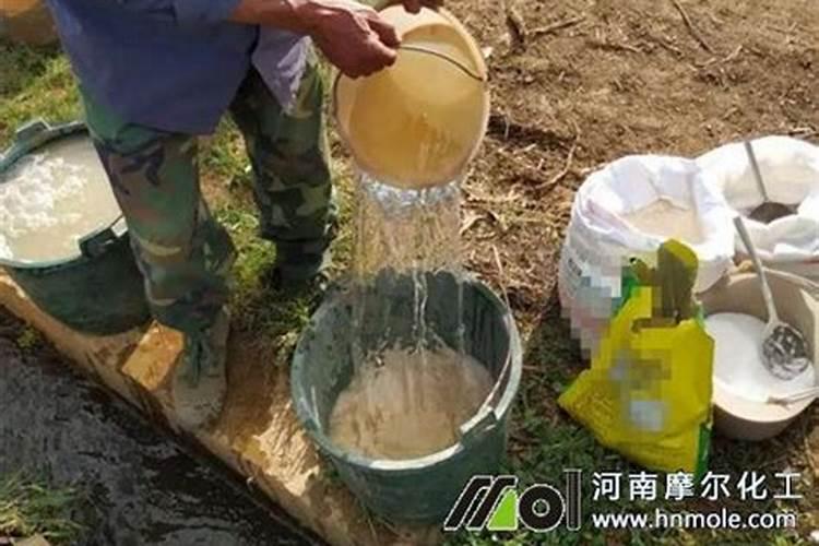 室内阳台种菜怎么种比较好？需要什么设备？