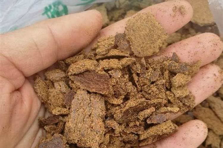 菜籽饼泡水可以直接浇花吗 应该怎么给花施肥