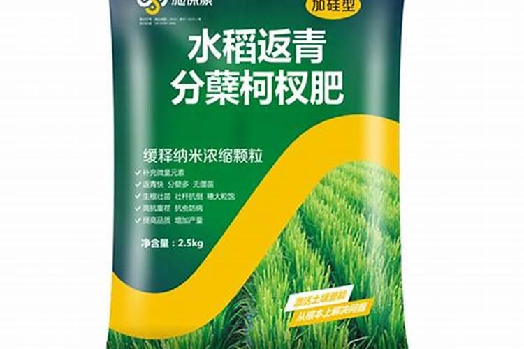 水稻什么时期施硅肥水稻施硅肥的时间