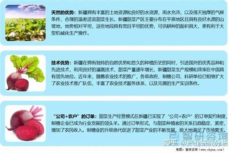 甜菜的种植怎么施肥？