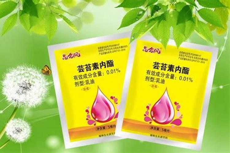 上海拜润芸乐收怎么样