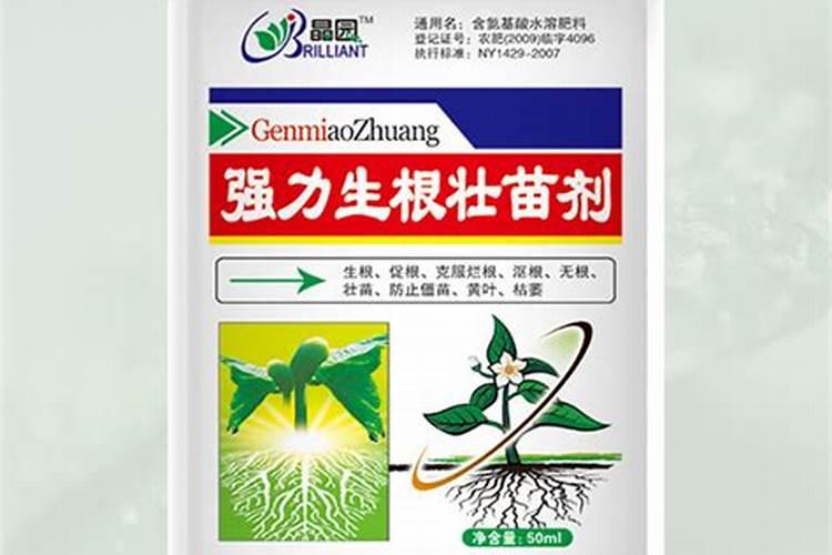 全速黄腐酸有机碳水溶肥用在果树生长阶段有什么作用？