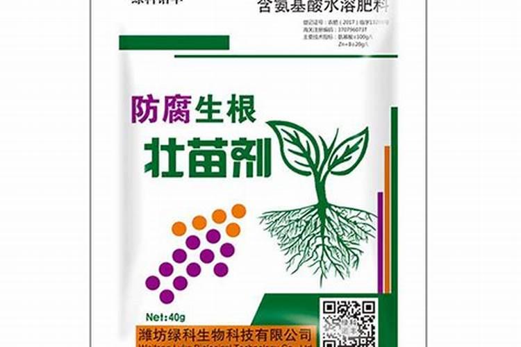 柠檬树淋水容肥有什么用？