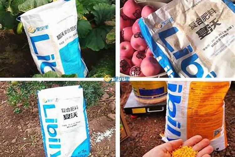 聚谷氨酸肥料使用是水剂冲施好,还是颗粒和肥料混合使用好