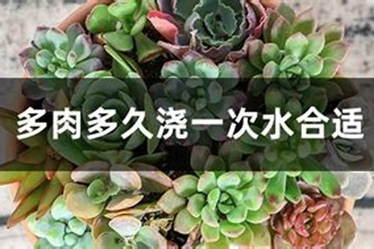 小黑瓶怎么用