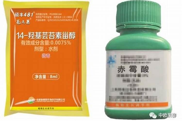 赤霉素和芸苔素哪个好