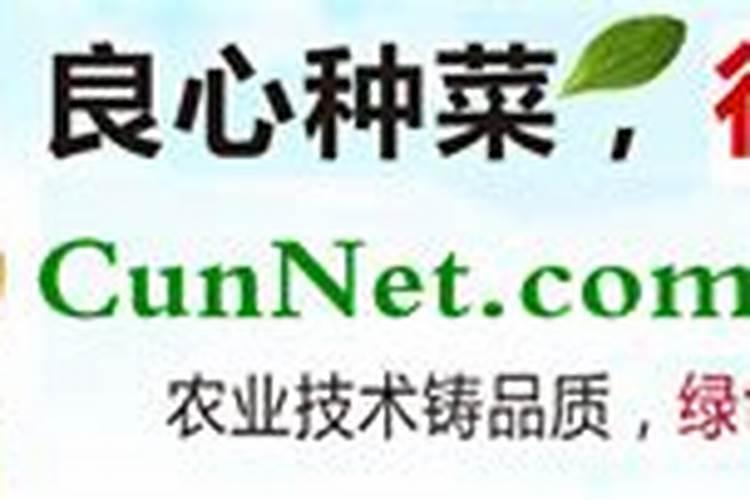 种淮山用什么肥料