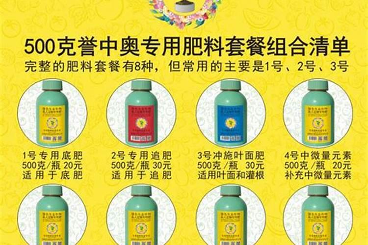 郑州中奥维也纳音乐学校怎么样