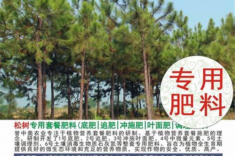 雪中奥羽绒服怎么样