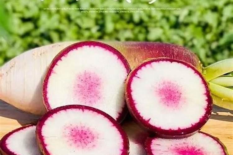 这些蔬菜吃了会中毒