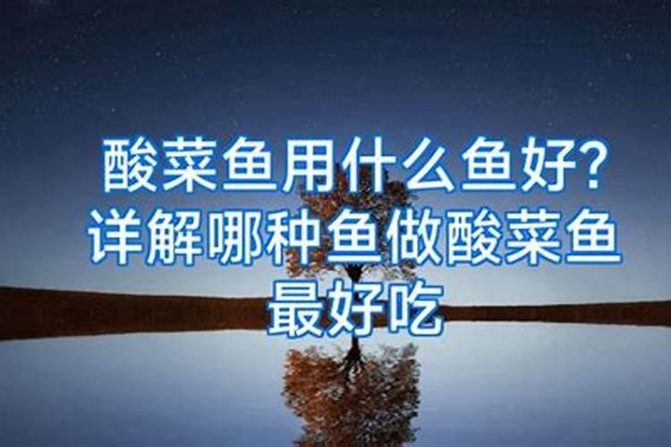 鱼蛋白肥,好的品牌有哪些？
