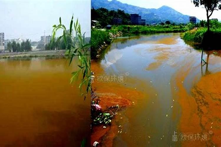 天气闷热空气不流通对藻类生长的影响