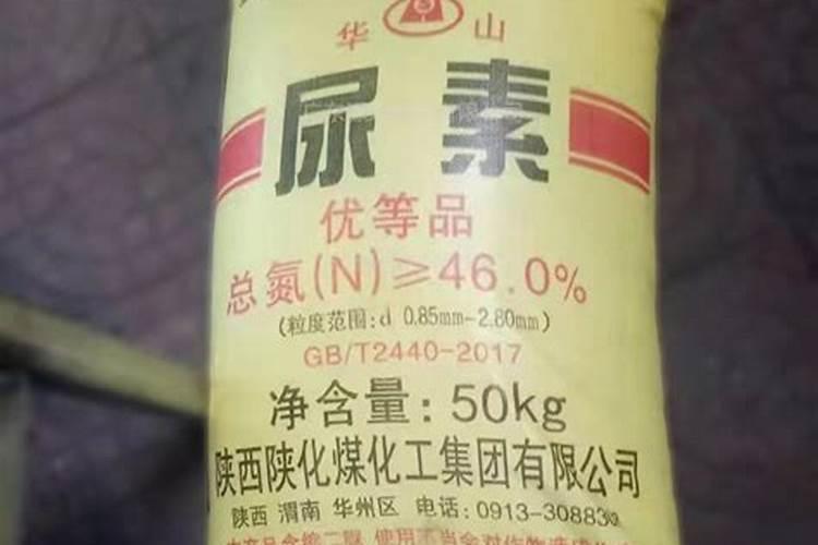 尿素是不是氮肥