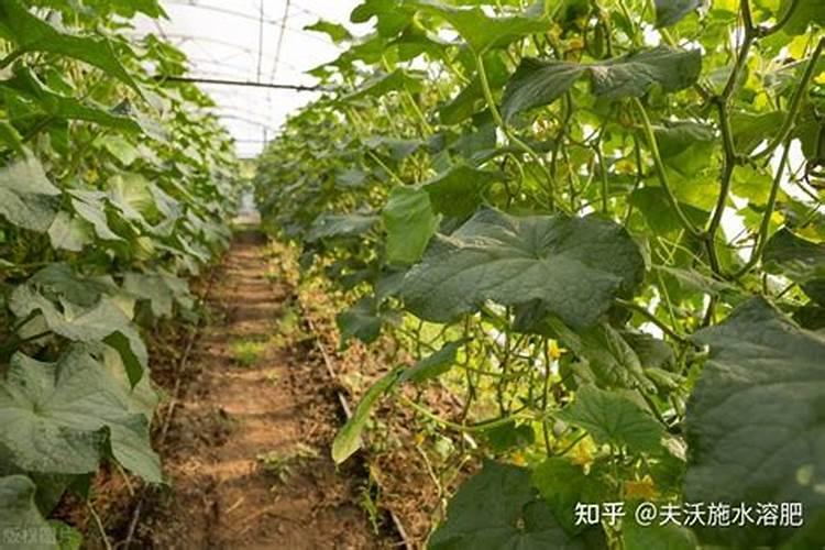 崔宇工作经历