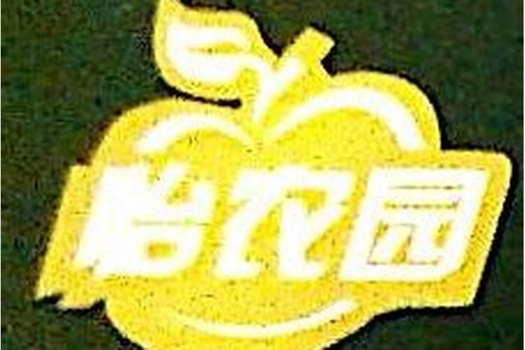 崔宇工作经历