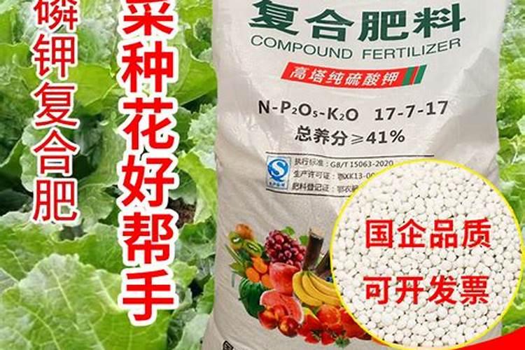 种菜用什么肥料对人体无害