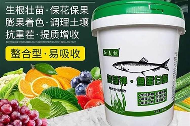 鱼塘如何用生石灰消毒