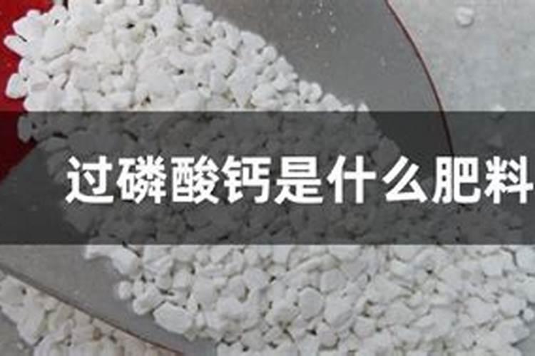 给兰花补充过磷酸丐好不好？