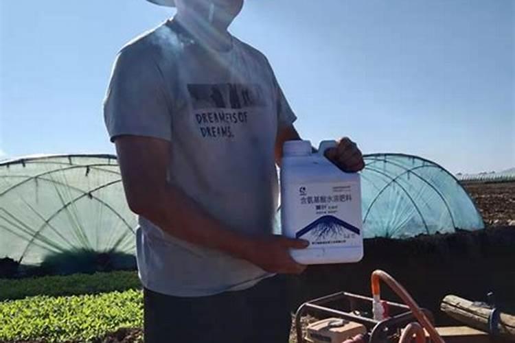 水溶肥如何使用,利用率高？