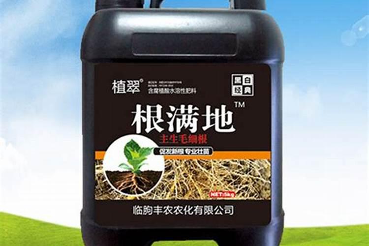 水培蔬菜生根肥有哪些？