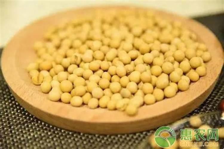 种植大豆需要上多少肥都上什么肥