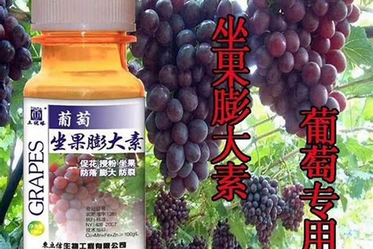 葡萄膨大剂里能加杀菌剂吗？