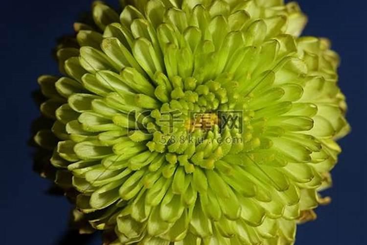 谁知到益佰制药的企业怎么样啊 啊？