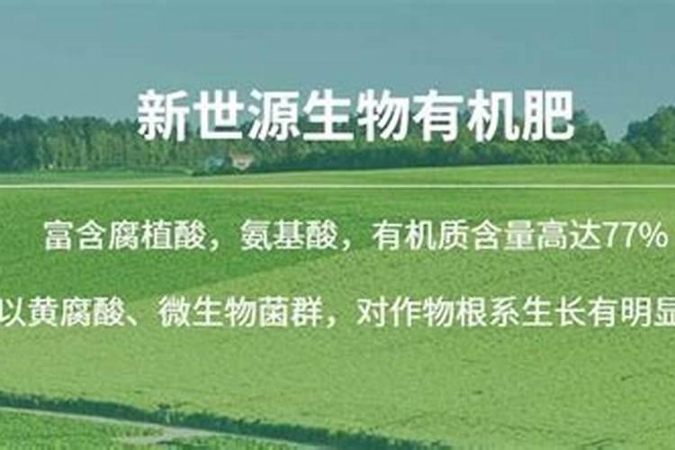 养殖龙头股票有哪些？