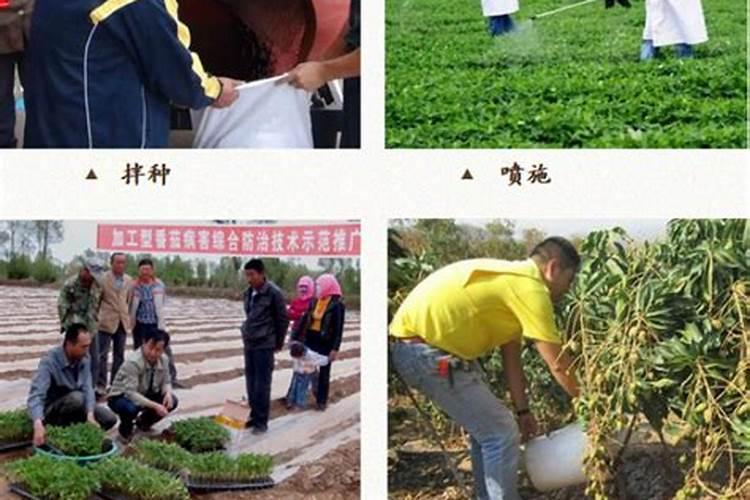 氮磷钾 生物菌肥 有机肥 可不可以混合在一起追肥