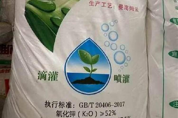 硫酸钾肥料适合种什么