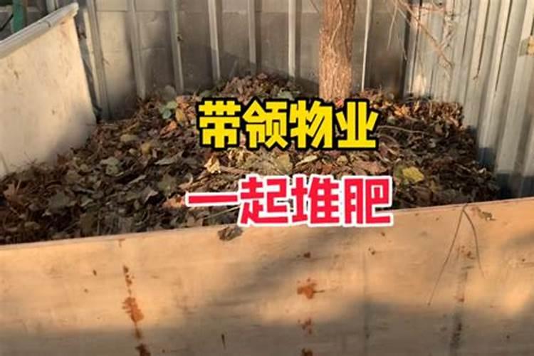 树叶可以发酵做肥料 怎么制作呢