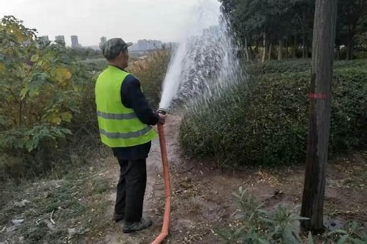 果树用水溶肥好还是复合肥好(复合肥可以兑水浇果树吗)