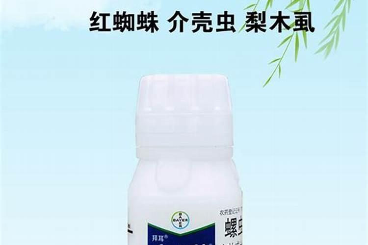 什么时候打蜜虫效果好