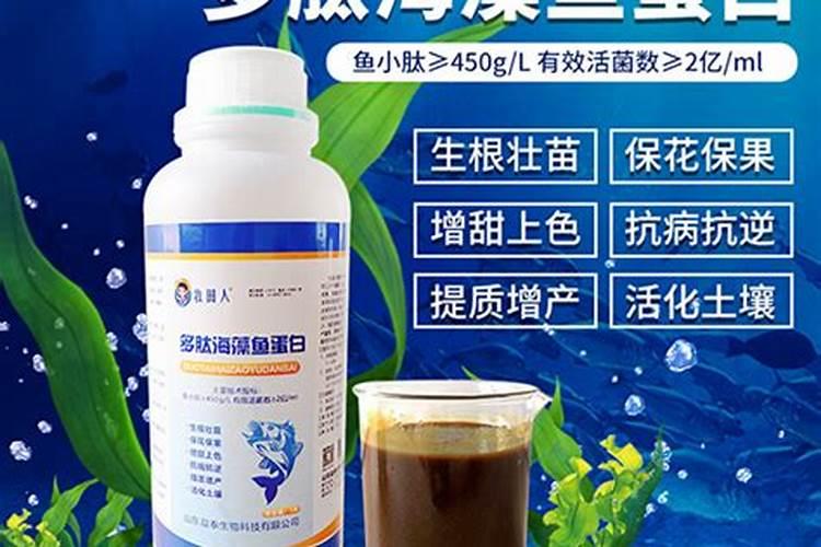 海藻鱼蛋白水溶肥料作用
